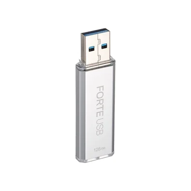 Pen Drive 128GB SecuX Forte, USB 3.2, Com Criptografia AES-XTS 256 e Autenticação por Senha, Prata - 98-101-000200